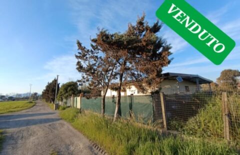 Soluzione indipendente con terreno