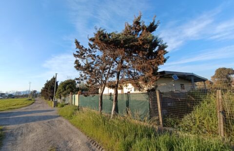 Soluzione indipendente con terreno